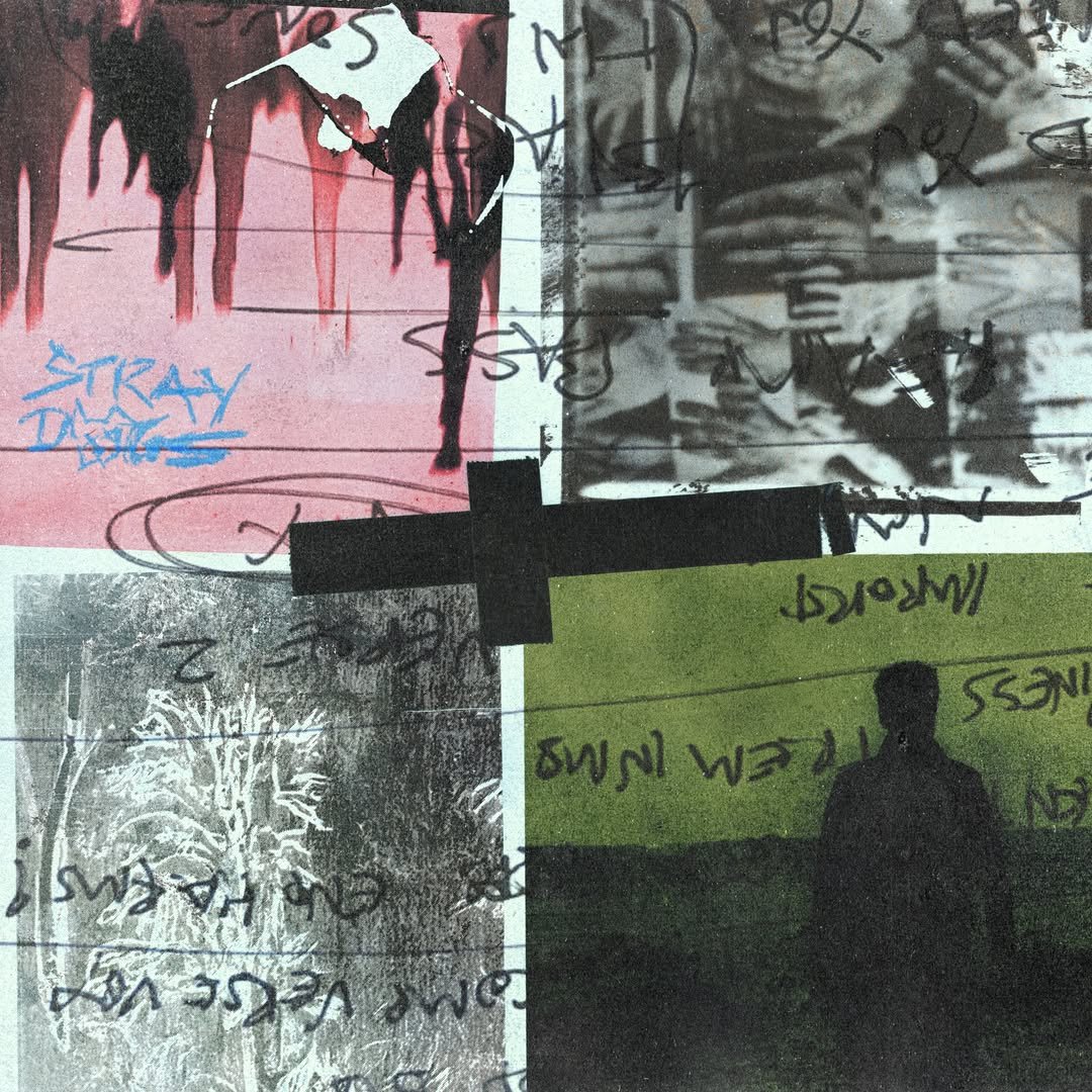 La cover dell'album Stray Dogs in uscita il 25 settembre